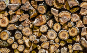 łańcuch pochodzenia drewna i produktów drewnopochodnych